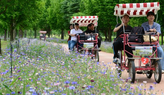거창창포원 자전거 타는모습