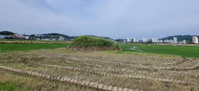 청양 고리섬 향토유적 지정