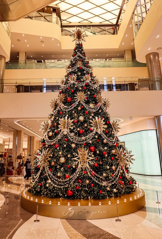 사진(압축) - 24년 크리스마스트리(3)