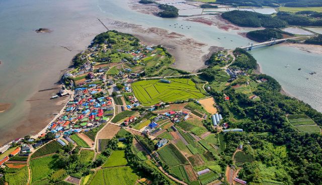 어촌뉴딜 황도 소득사업