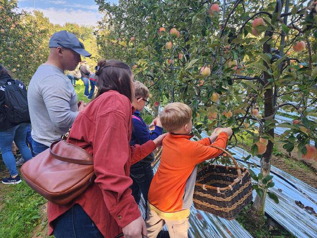 1.예산사과와인 페스티벌 모습 (6)