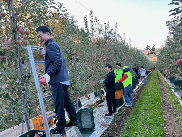 문화관광과 하반기 농촌일손돕기 모습