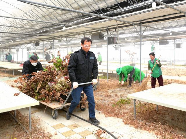'음성군, 대설 피해농가 위해 긴급 일손돕기 나서'(3)