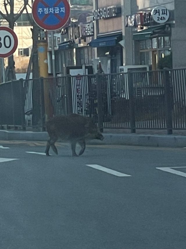 KakaoTalk_20241216_100832885