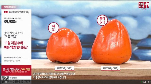 악양대봉감 홈쇼핑