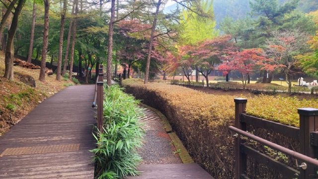 봉학골 무장애나눔길