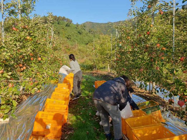 증평형 농촌일손 더하기 2