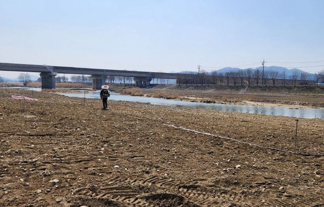 2-1 청주시, 무심천 수변 유채꽃밭 조성 박차_사진(파종 작업)