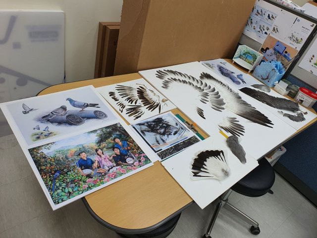 새 날개깃 액자