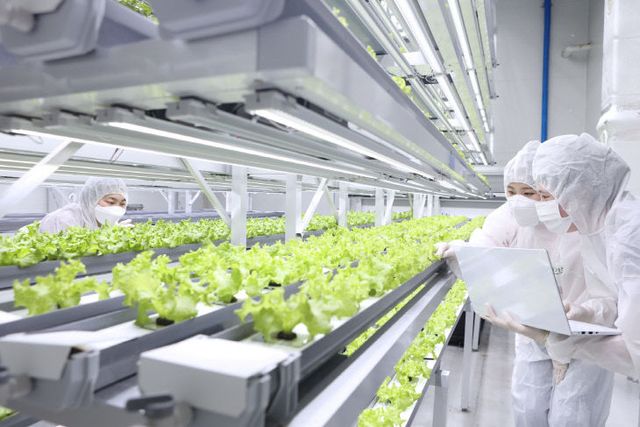 연암대학교 스마트팜 수직농장 실습현장_