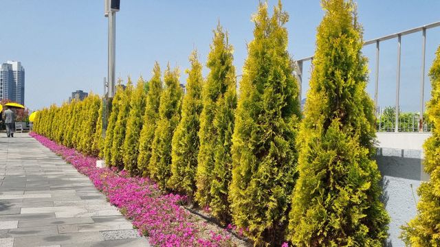 KakaoTalk_20240504_212732618_11