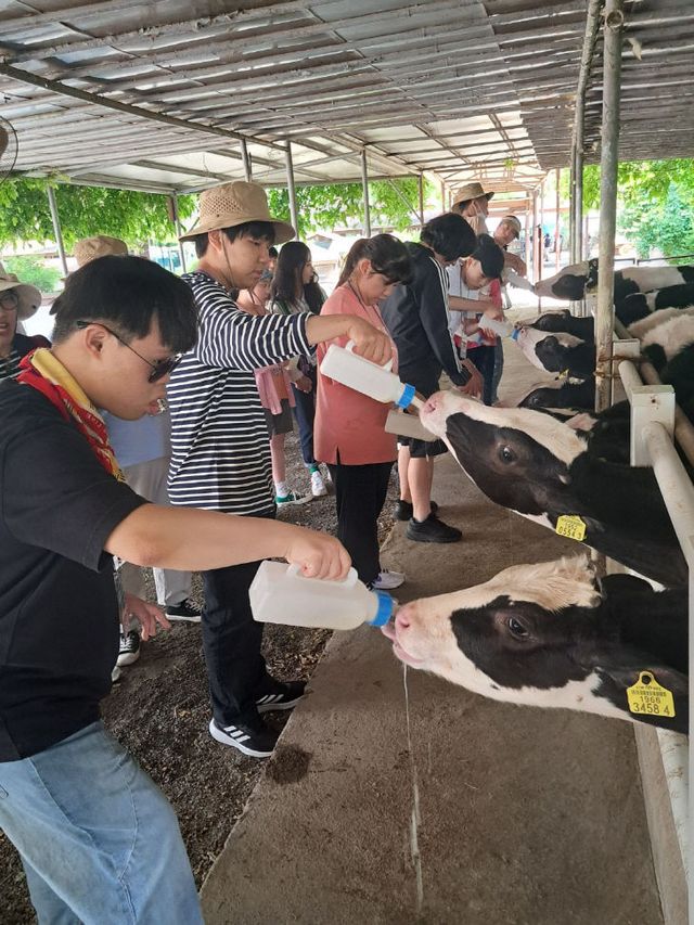 예산꿈빛학교, 고등부‘낙농업 체험’직업체험학습 실시2