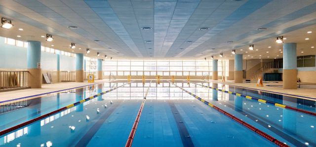 수영장 사진