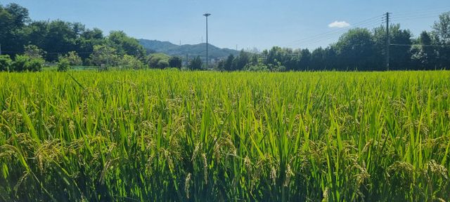 KakaoTalk_20240623_085917882