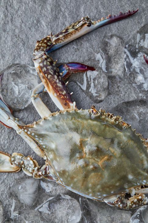 GettyImages-jv12616009