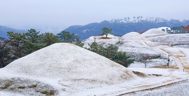 저화질_말이산고분군 길2