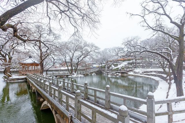 저화질_눈 내린 무진정 (1)