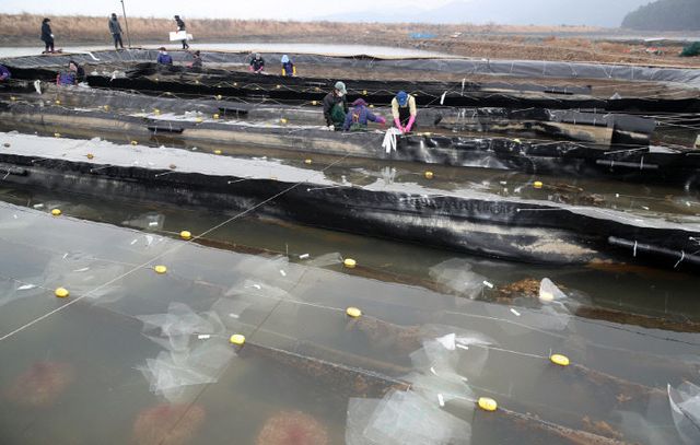 수산사업 신청 접수 3