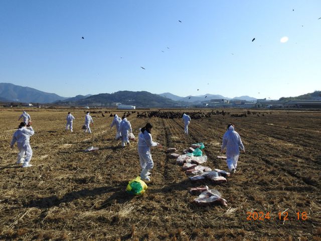 1.2(2025년 화포진2