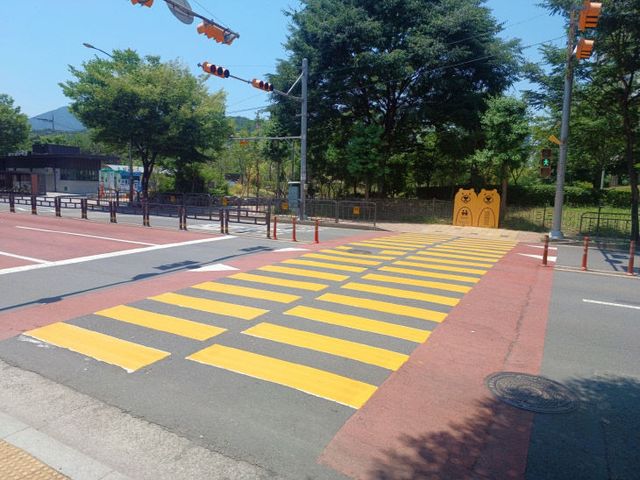 노란 횡단보도(가고파초)