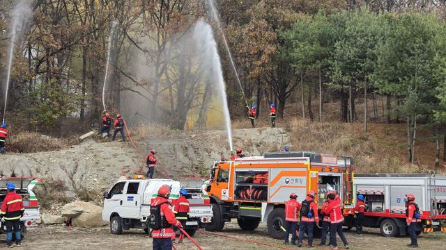 설연휴 산불비상체제 돌입 (3)