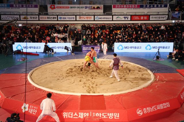 설날장사 씨름대회 성료 2