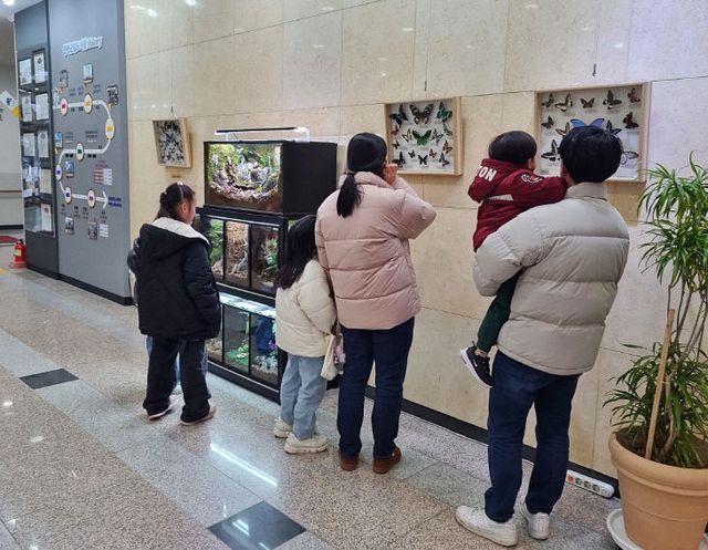 증평군립도서관 곤충표본 전시