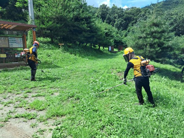 산림사업 48억원 투입 (1)