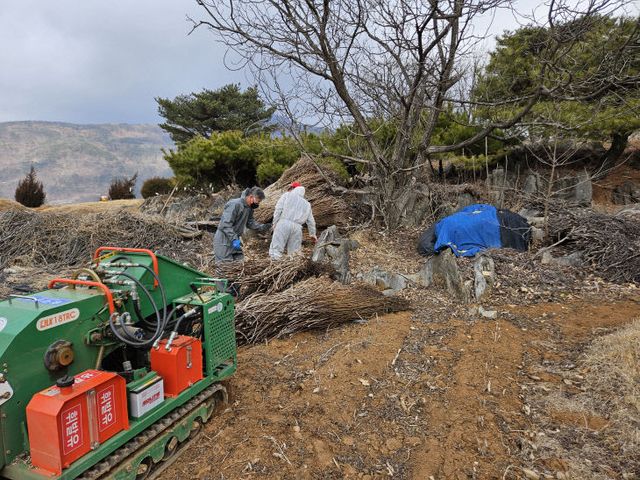 보도 3) 영농부산물 파쇄지원