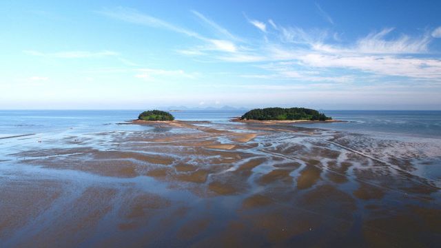 고창갯벌 ‘2026년 국가유산청 공모사업’ 선정(2)