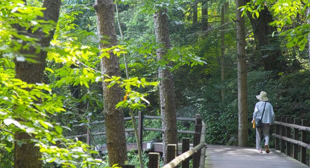 경기관광공사, 의왕 청계산맑은숲공원 전경.