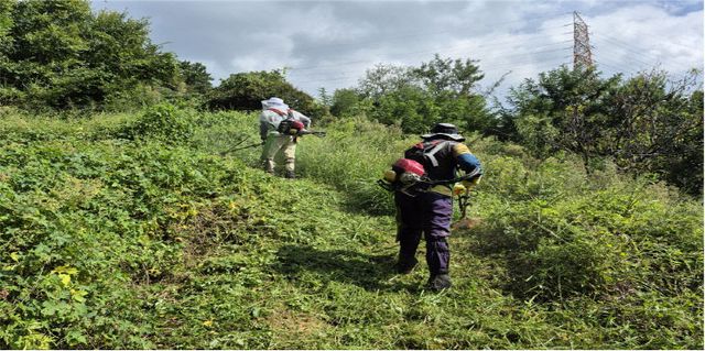 10.1(김해시 추석맞이 등산로 정비 실시)2