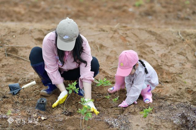 2-1_다시 피어나는 영덕 진달래 심기 자원봉사 투어 재가동