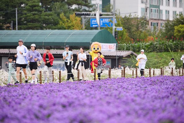 “천일홍 꽃밭을 달린다”…양주시, 시민과 함께하는 ‘별산런