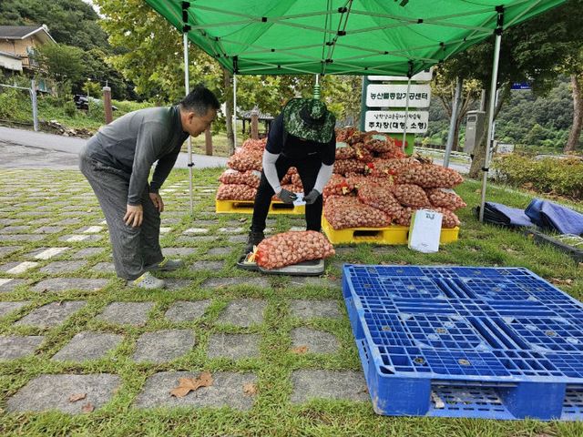 보도 3) 종구 공급(2)