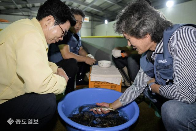 1-2_영덕군·황금은어종보존회, 황금은어 종 보존에 온 힘