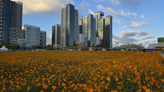 KakaoTalk_20251019_102502415