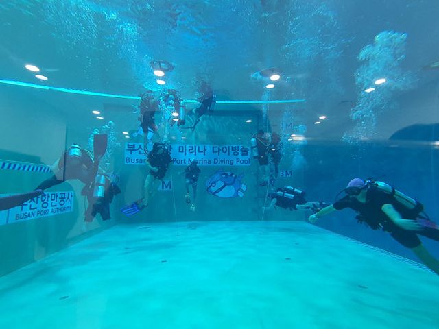 [251020 보도사자들