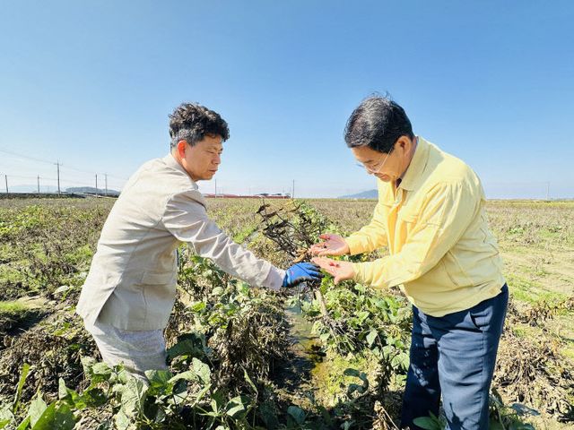 권익현 부안군수, 논콩 피해 현장 방문 점검 실시1