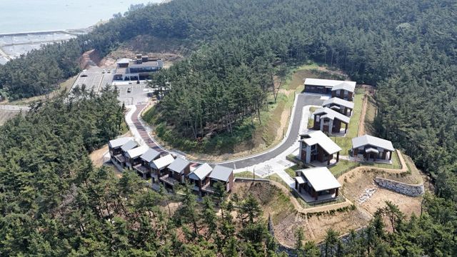 원산도자연휴양림_사진_(1)