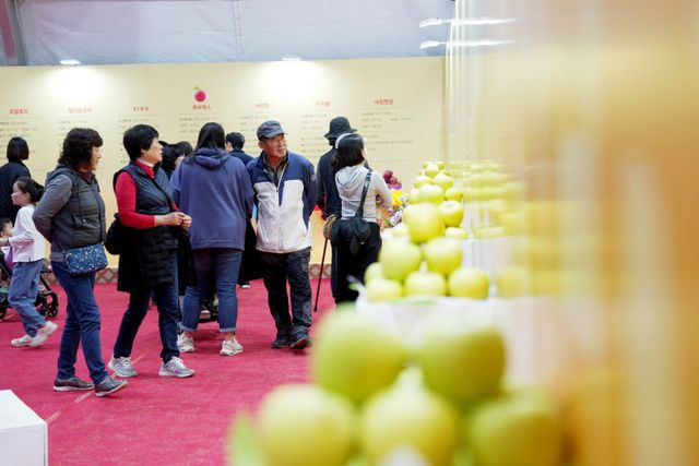 2024 제18회 청송사과축제[청송사과 홍보관] (2) (1)