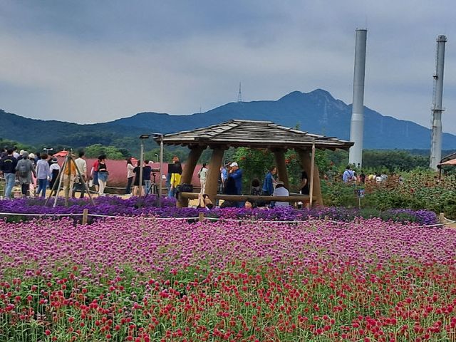 KakaoTalk_20251020_085001420_01