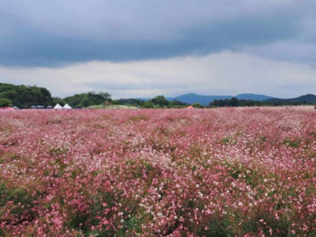 KakaoTalk_20251020_085001420_02