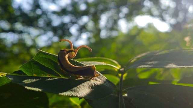 제 19회 전국상작