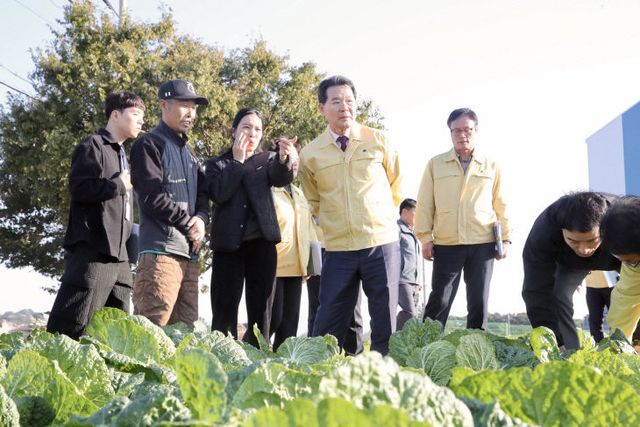 권익현 부안군수 김장 채소 병해충 피해 현장 방문3