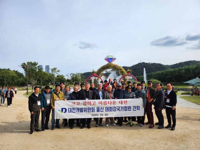 대전개발위 울산