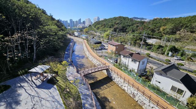 1-1. 11월 1일전경