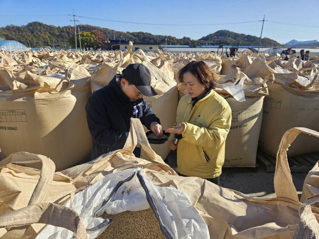 진주시, 2025년산 공공비축미곡 건조벼 첫 매입