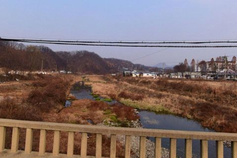 02.+[문산천]+현장사진