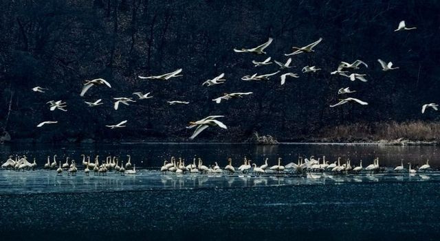 KakaoTalk_20251111_103109584_05